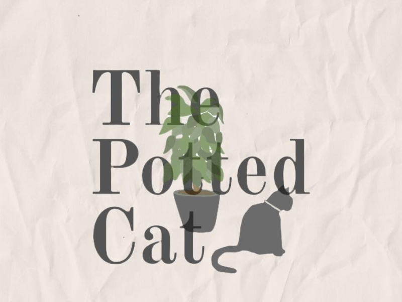 The Potted Cat